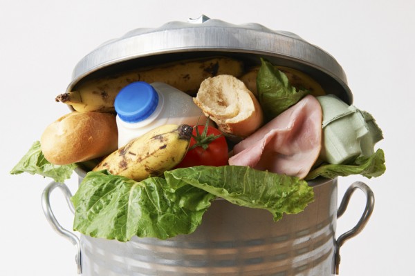 Researchers: 9% of the world’s food supply is thrown away or left to spoil