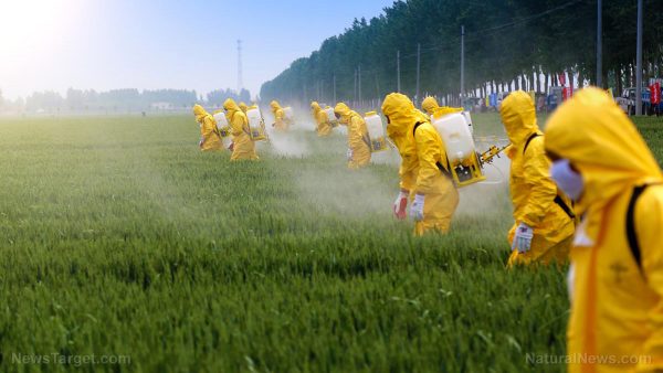 A deadly pattern of collusion and deceit: Both industry and regulators are aware of the dangers of pesticides