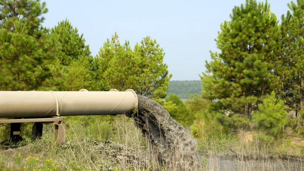 Harmful compounds from GenX, PFOA found in vegetables grown near a Dutch facility, similar to North Carolina