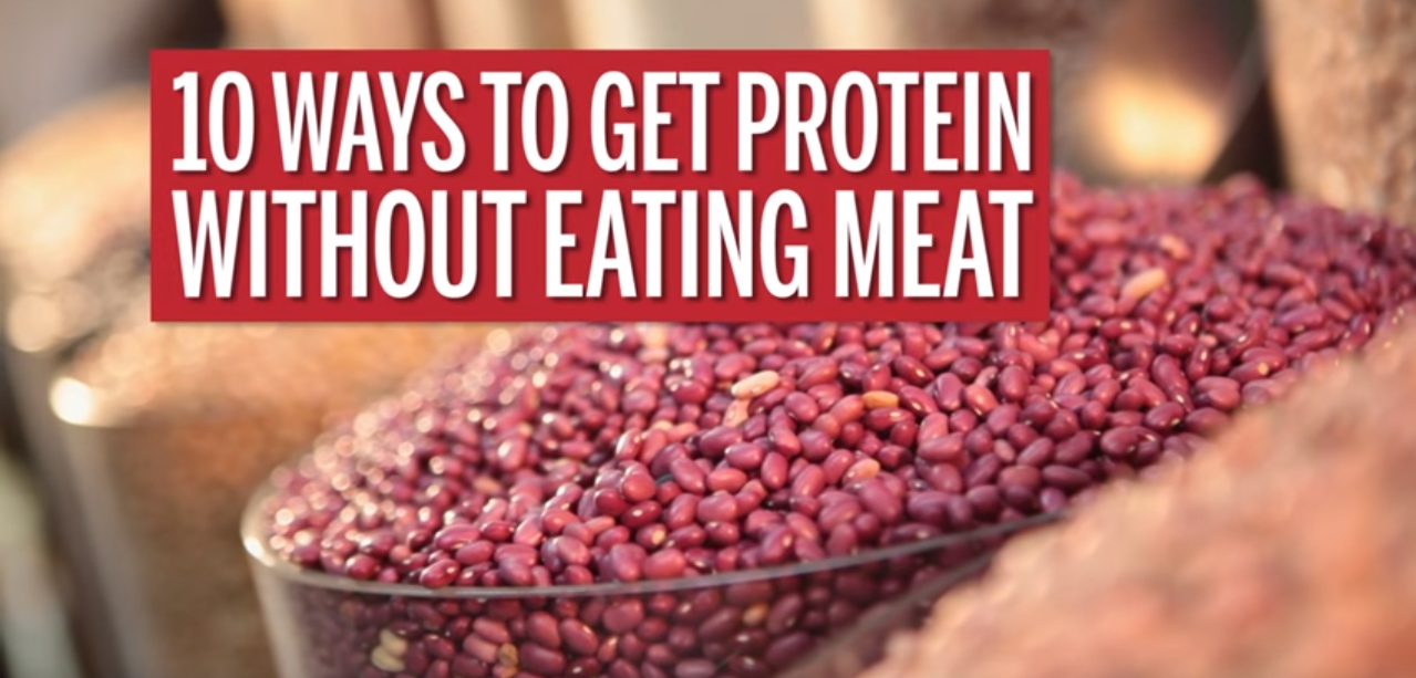 10 Ways to Get Protein Without Eating Meat (Video)
