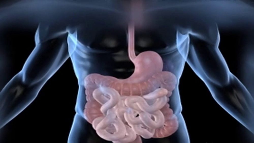 Stunning scientific discovery finds that gut bacteria control your brain chemistry, altering moods and more