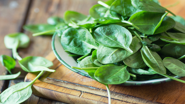 Nutrition study concludes that Spinacia oleracea (spinach) can be used to prevent bone changes caused by osteoarthritis
