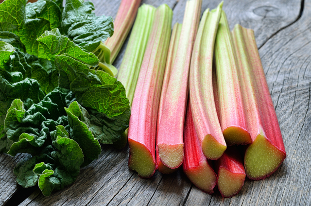 The neuroprotective potential of rhubarb in treating traumatic brain injury