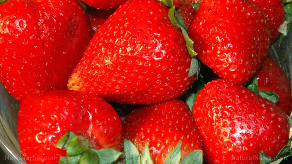 Researchers discover that strawberries can inhibit breast cancer in mice