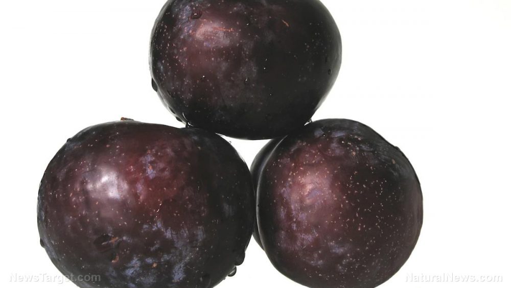 Scientists look to the common plum as a potential natural remedy for cancer