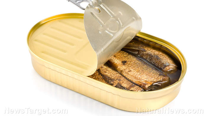 Consuming oily fish reduces the risk and symptoms of MS