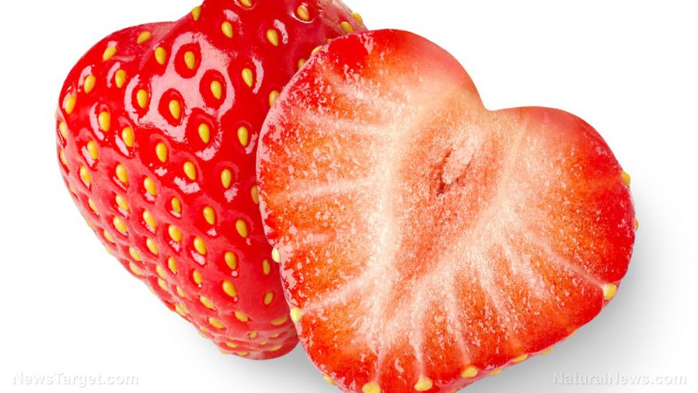 Strawberries contain powerful anti-cancer medicines and have now been scientifically shown to prevent breast cancer