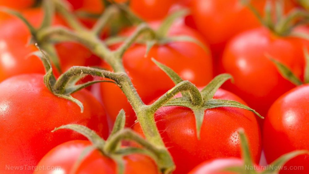 Promising study reveals whole tomato extract found to treat deadly stomach cancer