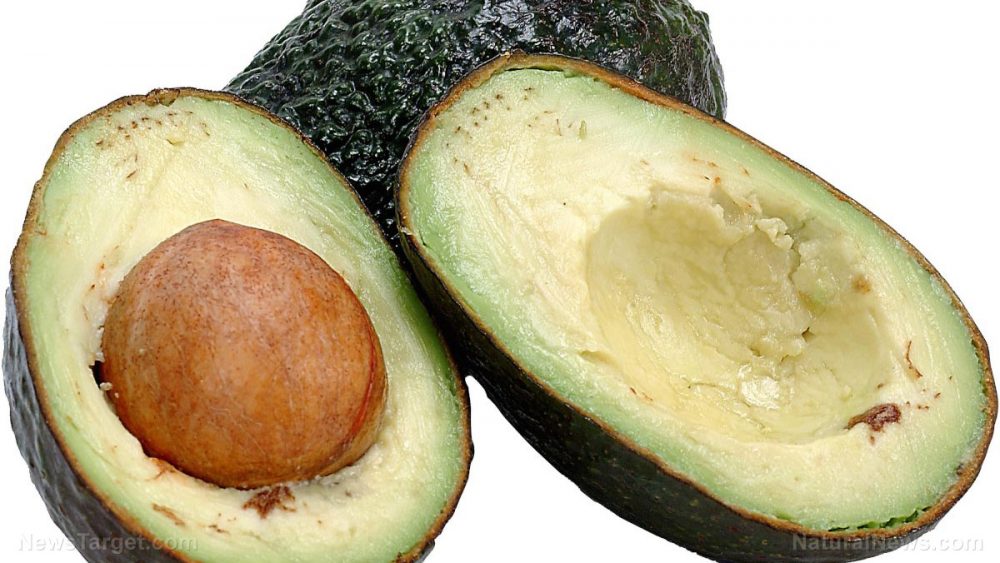 Lutein in avocados found to protect the brain from effects of aging