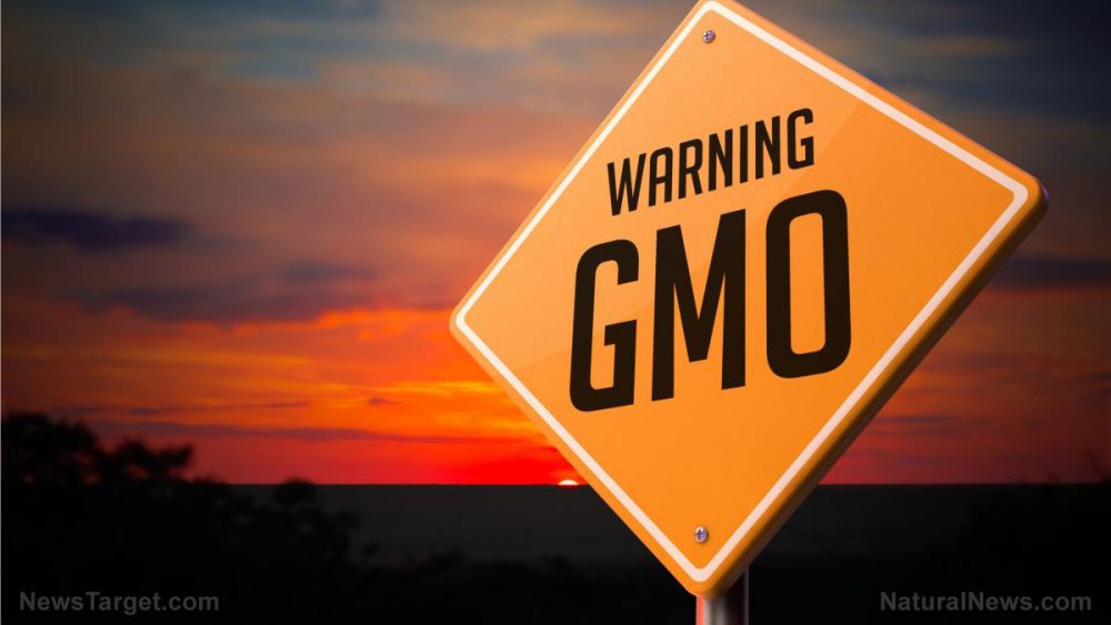 The Biotech industry is taking over the regulation of GMOs from the inside.