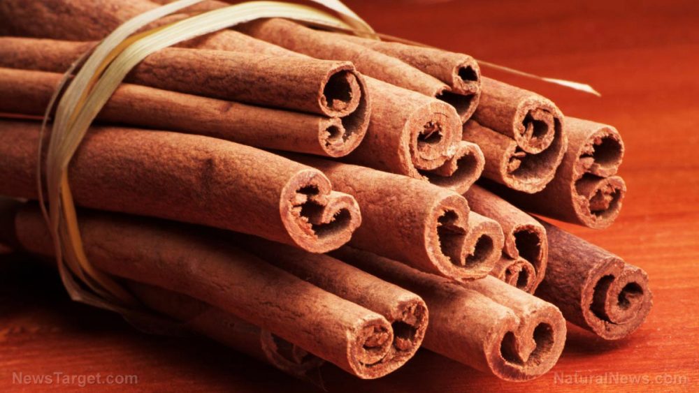 Cinnamon spice — powdered tree bark — found to accelerate the body’s fat burning