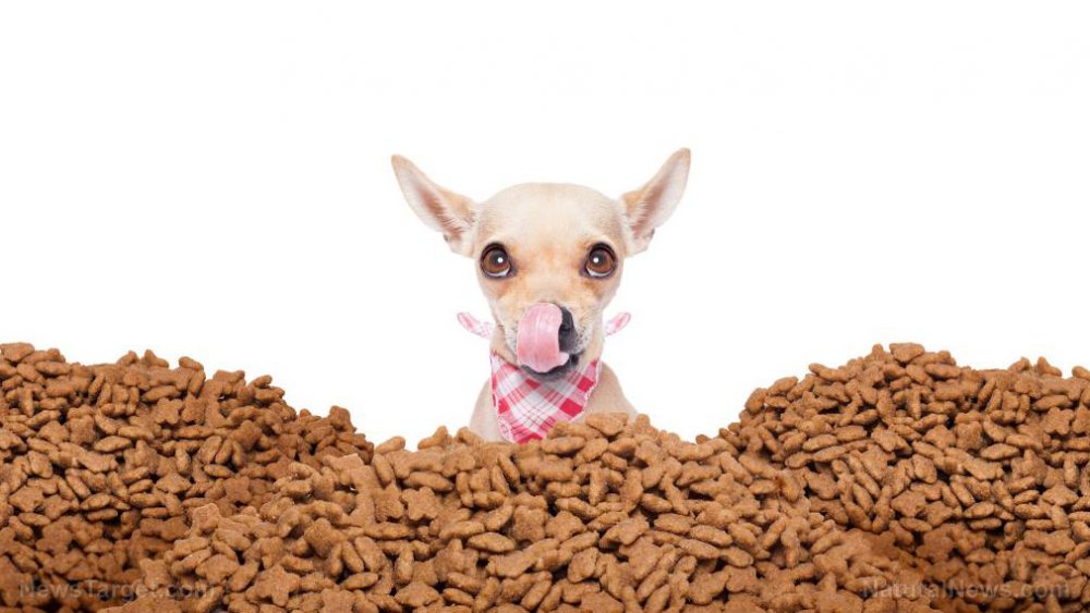 Understanding the Orwellian use of words in pet food ingredients