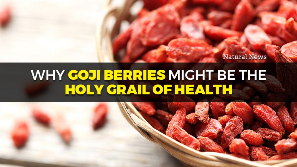 Why goji berries might be the Holy Grail of health