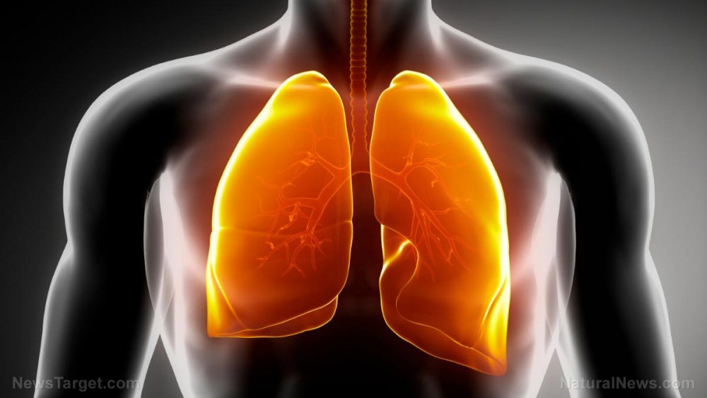 Resveratrol reduces oxidative stress in the lungs