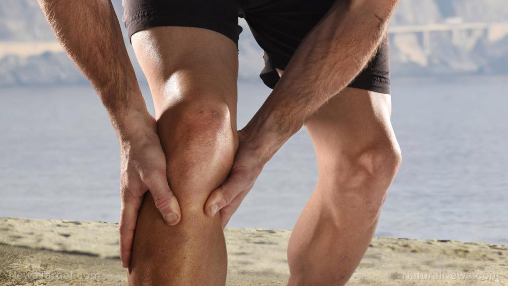 Dietary fiber found to reduce osteoarthritis knee pain in first-ever study of its kind