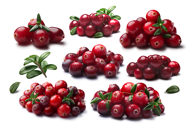 Anthocyanins, abundantly found in berries, treat insulin resistance while managing cholesterol levels