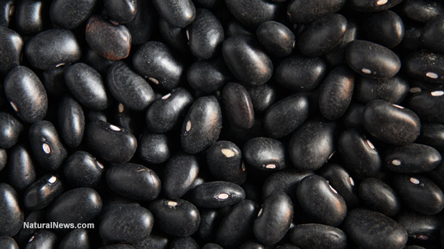 Why black beans are the best foods for hypertensive people