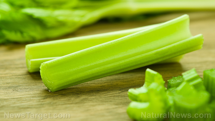 Compounds found in celery make it a powerful healing plant