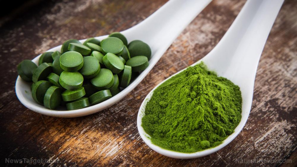 Spirulina: The potent healing food Big Pharma doesn’t want you to know about