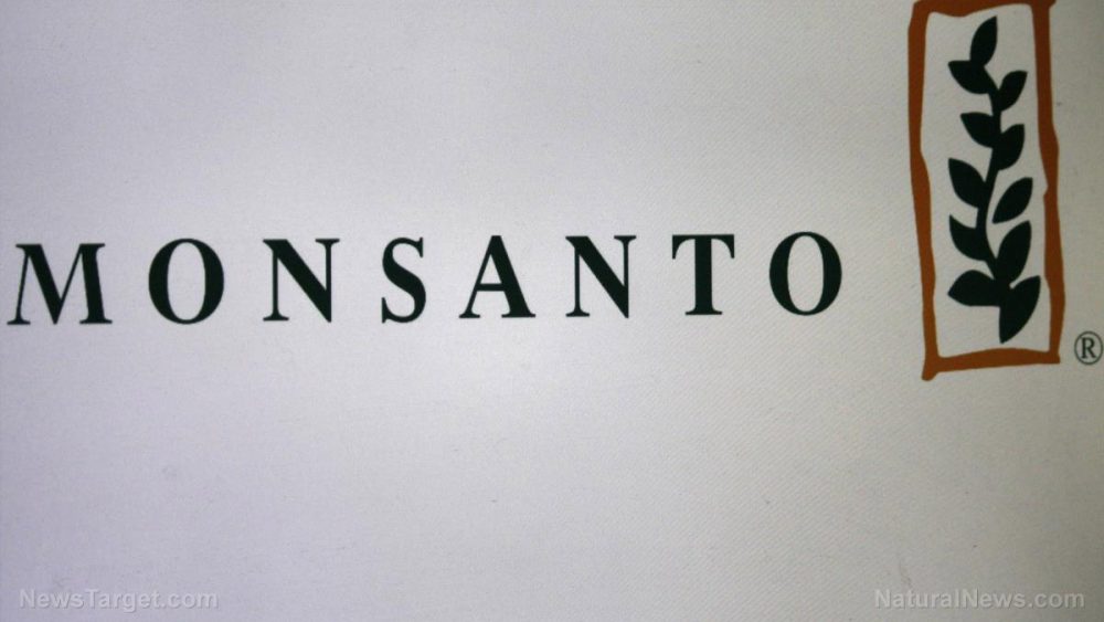 Monsanto secret documents show massive attack on Seralini study