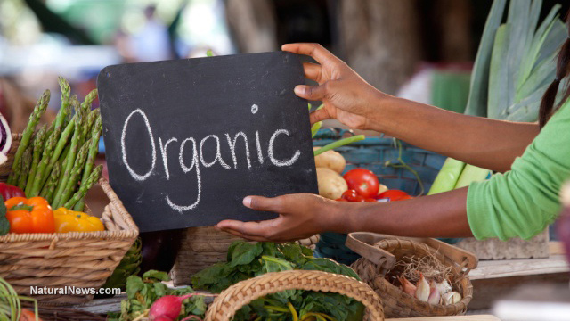 IDIOCY: Two university profs claim that “Farmer’s markets” are harbingers of WHITE racism