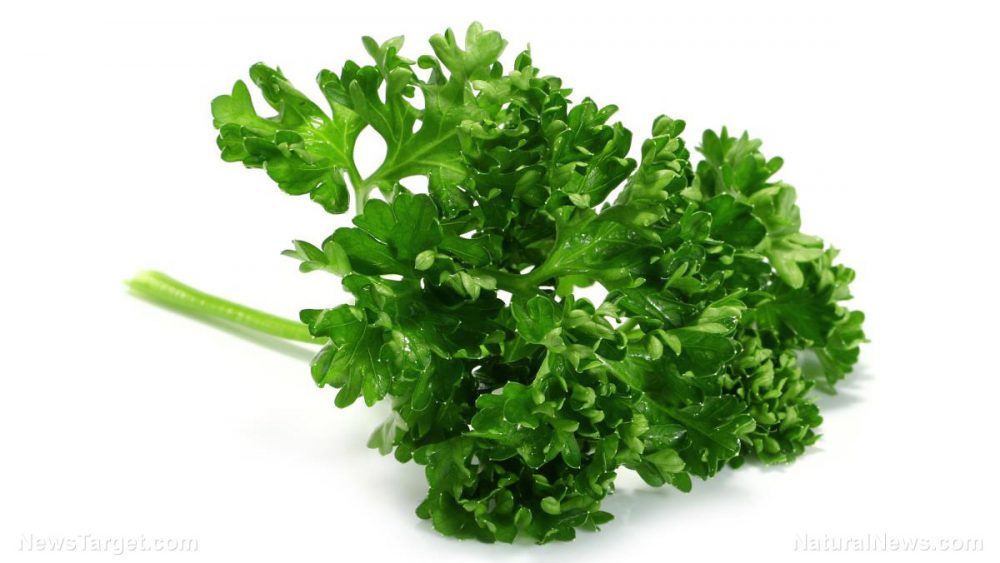 The unassuming parsley has many healing properties, including the ability to fight cancer