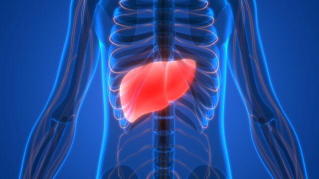 Recent research suggests that even low exposure to glyphosate can contribute to liver damage