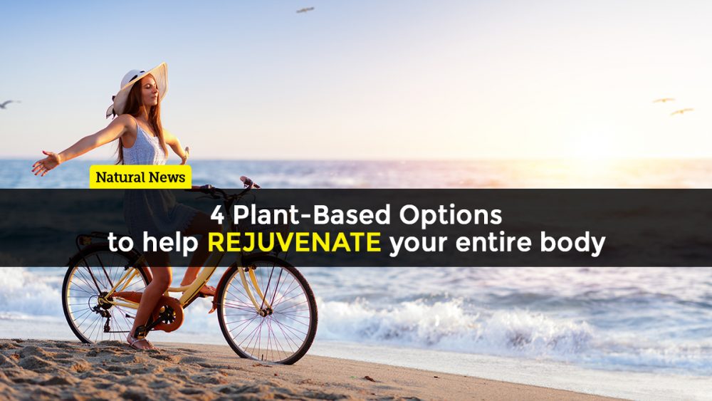 Four plant-based options to help rejuvenate your entire body