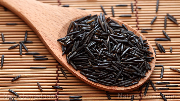 Studied: The antiobesity effect of germinated waxy black rice