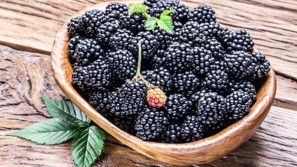 Blackberries are one of the best foods to eat for a healthier immune system