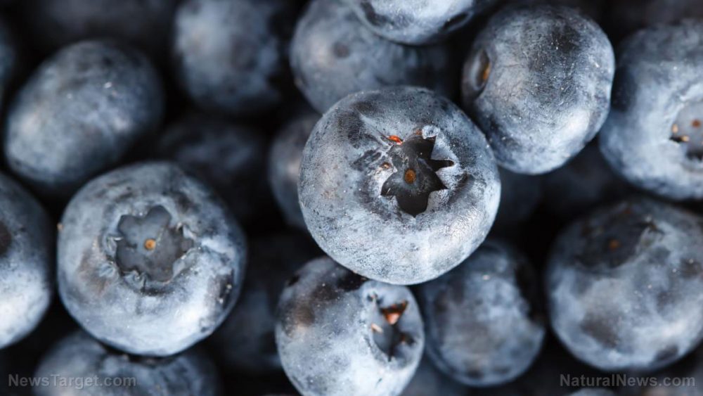 Why blueberries should be a staple in your diet