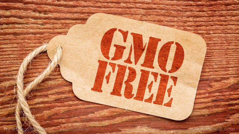 STUNNING: Removing GMO foods from your diet can improve 28 different health conditions