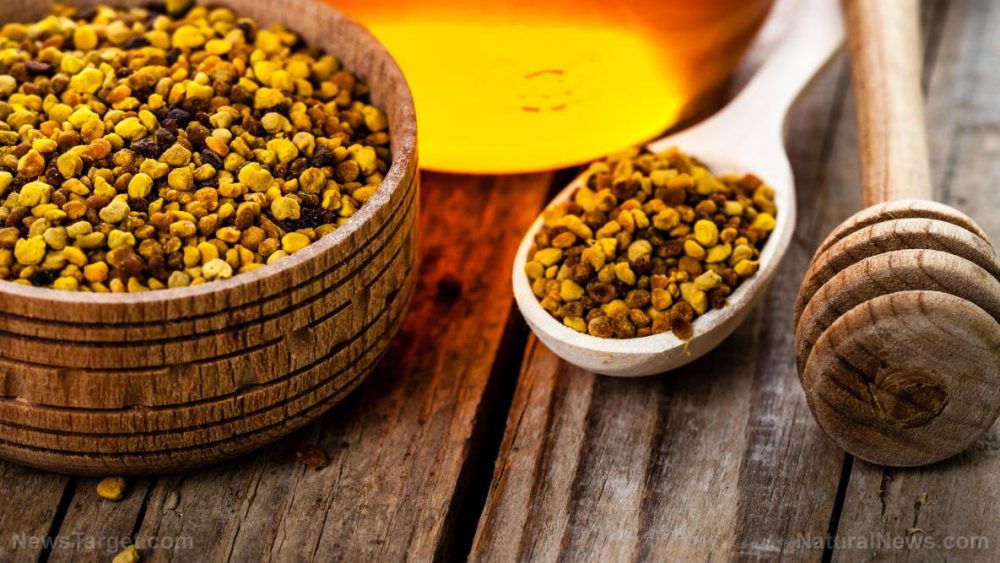 Study finds that bee pollen can mediate some effects of autism