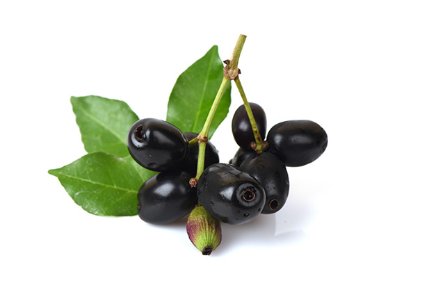 Taking the powder of the Java plum reduces the damage caused by a high-fat diet