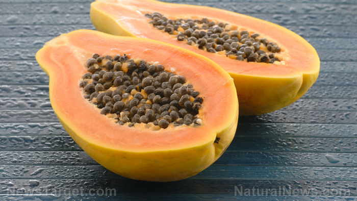 Papaya leaf juice can be used to prevent and treat dengue