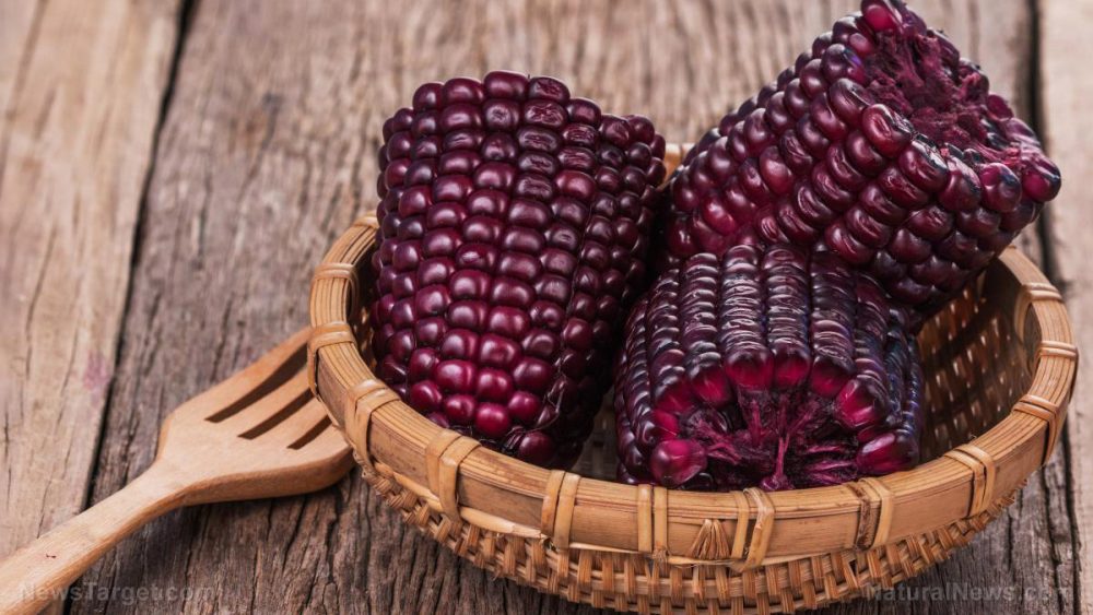Researchers say that purple corn is a natural aphrodisiac