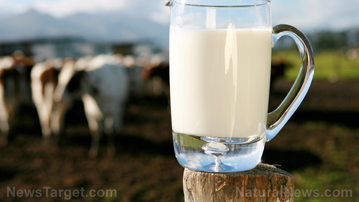 Babies are less likely to develop a milk allergy when they drink milk from cows fed a natural diet