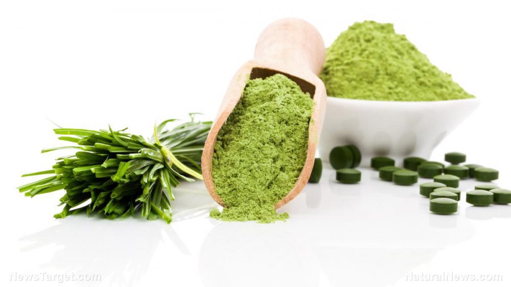 Wheatgrass helps manage cholesterol levels in menopausal women