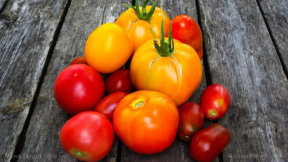 Don’t throw them away! The skins and seeds of tomatoes make for highly nutritious animal feed