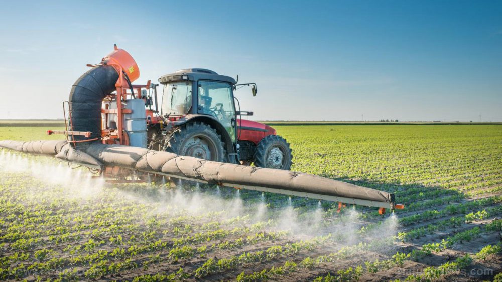 Court upholds Arkansas decision to ban dicamba herbicide