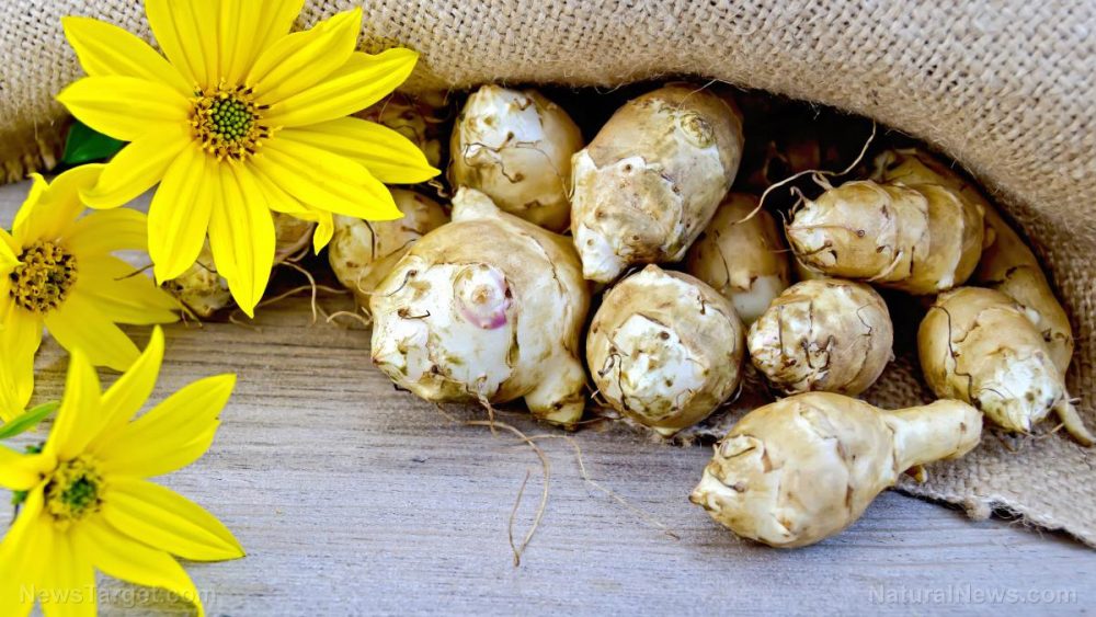 Health benefits of Jerusalem artichoke and its potential use in food products