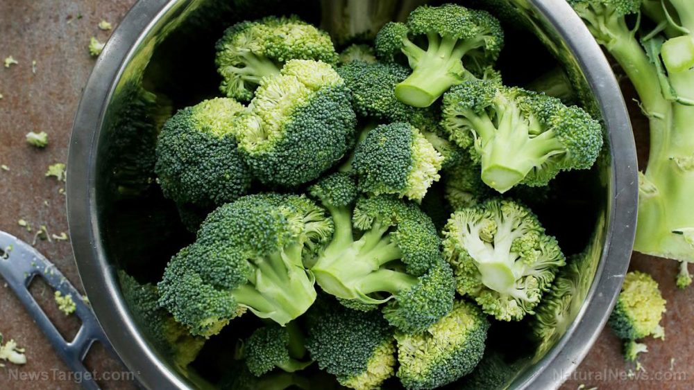 The humble broccoli brings DRAMATIC benefits to your digestive health
