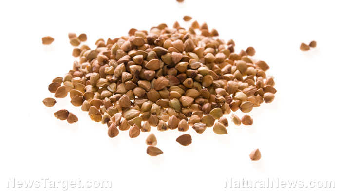 The potent antioxidant potential of tartary buckwheat