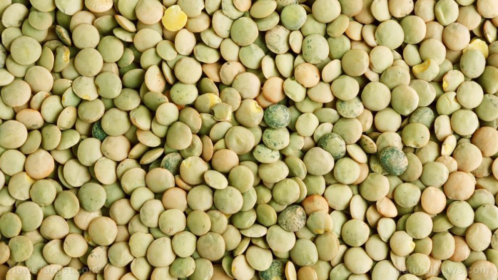 Replacing rice and potatoes with lentils can decrease your risk of cancer by up to 50%