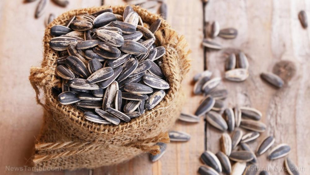 Sunflower seeds found to be frequently contaminated with toxic mold