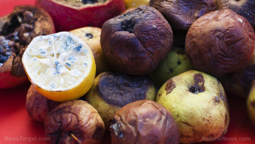 Do you know how to tell if the food you’re eating is fresh?