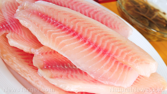 Feeding tilapia with flaxseed increases their omega-3 levels