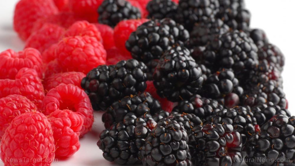 Black raspberries can reduce your risk of developing oral cancer