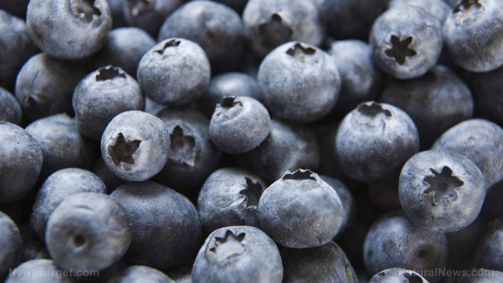 Nutrition studies all agree: Blueberries are good for your gut