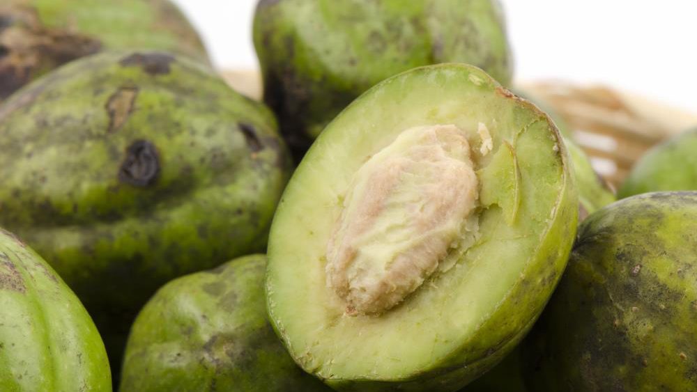 Myrobalan shows promise as a natural treatment for Alzheimer’s